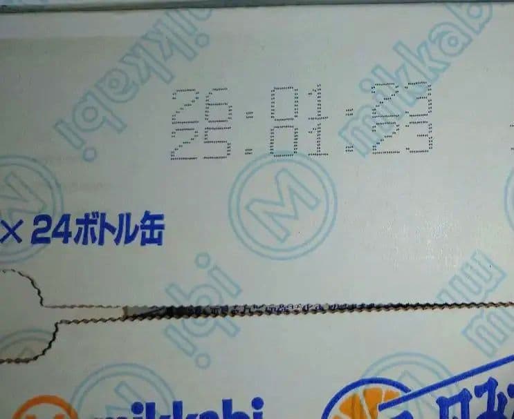 『季節限定』三ヶ日みかん　みかんジュース　あおしま　GABA　果汁100%　２箱