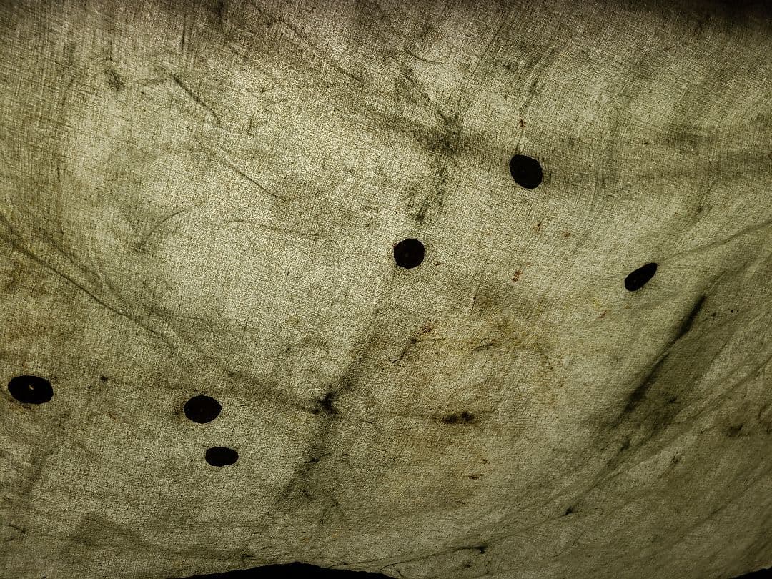 F1コットンテント　フライシートなし　ポール　ペグ　予備紐　収納袋付属