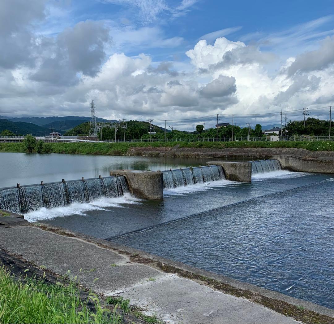 高食味❗️令和7年 低農薬栽培 高知コシヒカリ玄米10キロ(5kg×2)精米無料