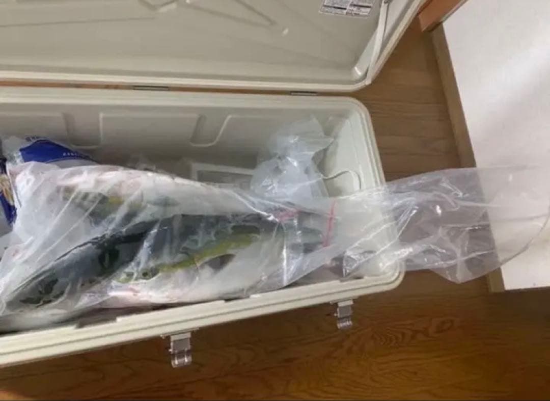 サカナ用ポリ袋 200枚入