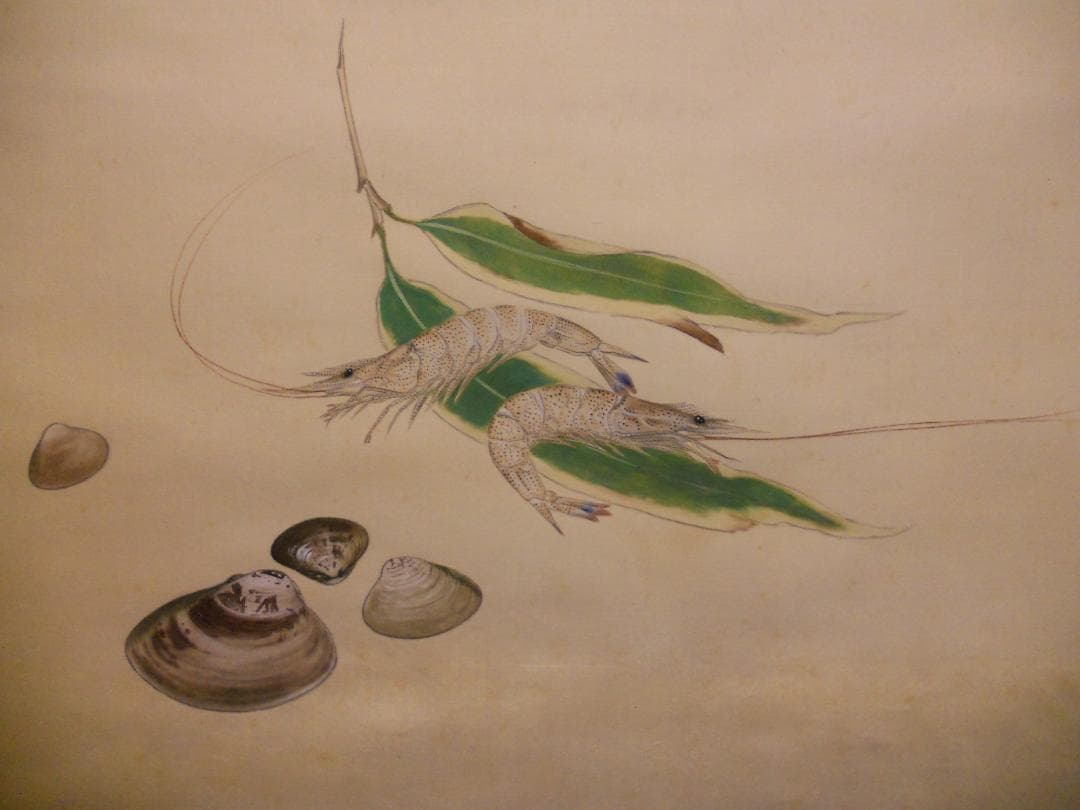 掛け軸 粟野観鳳 『 海老と貝 』 絹本 希少 軸装 茶道具 掛軸 美品 です。