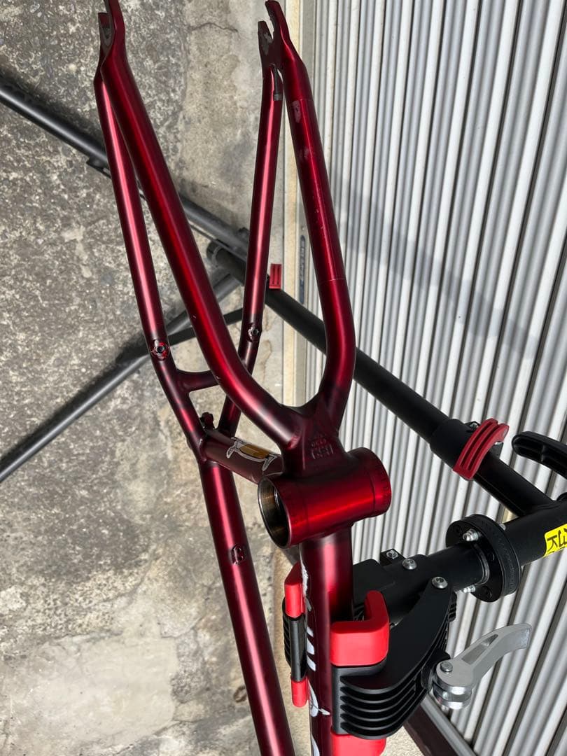 BMX フレーム BSD Freedom Frame 20.5