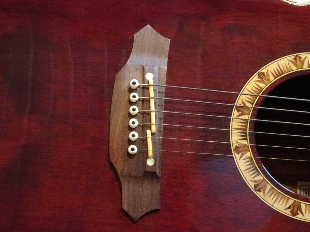 タカミネ PT507（エレアコ）