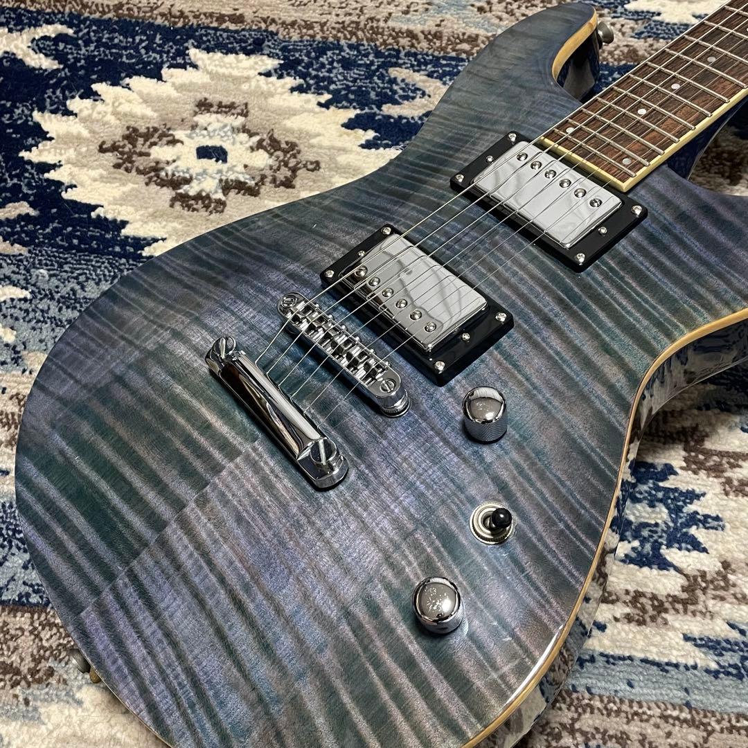 Fernandes APG-85 PRS Gibson TAK DC 風