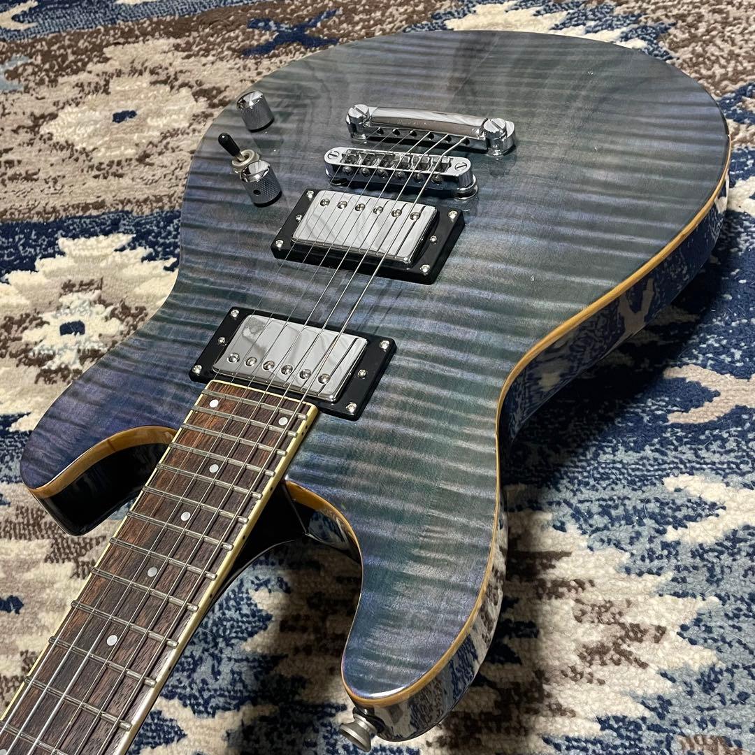 Fernandes APG-85 PRS Gibson TAK DC 風