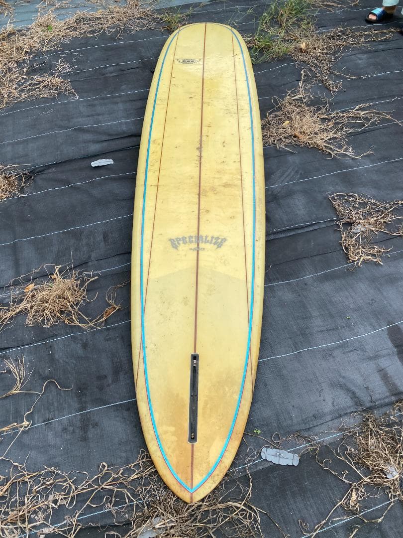 スペシャライズオーダー ロングボード １０