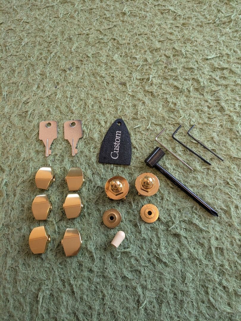 PRS Custom 24 カスタム多数