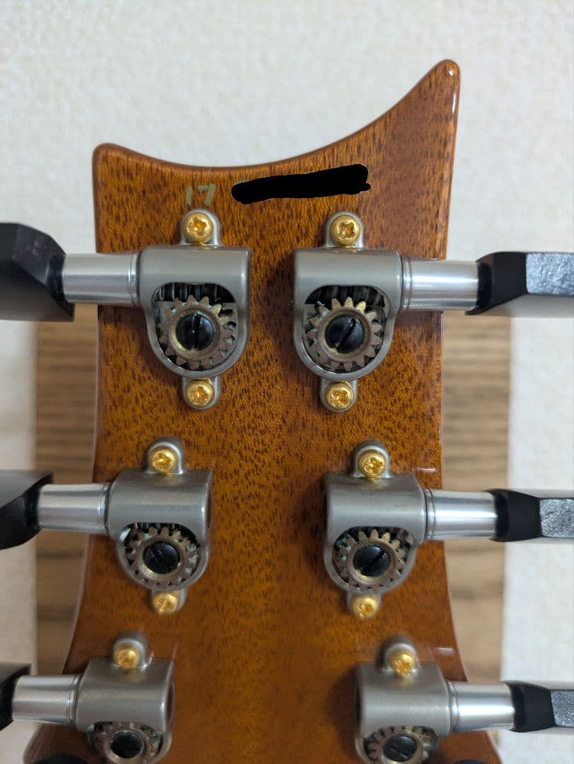 PRS Custom 24 カスタム多数