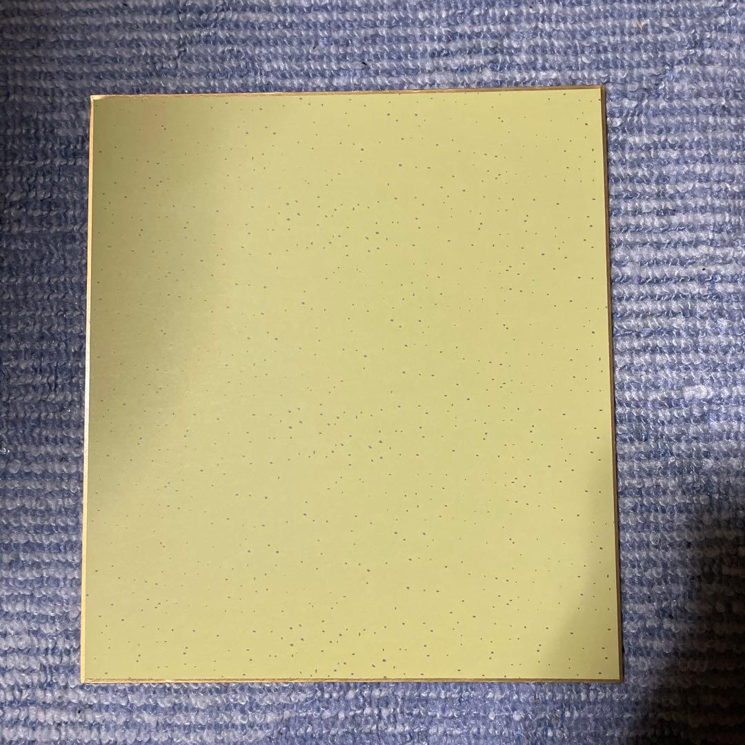 【超希少】鳥山明 直筆サイン色紙 2枚組 DRAGON BALL