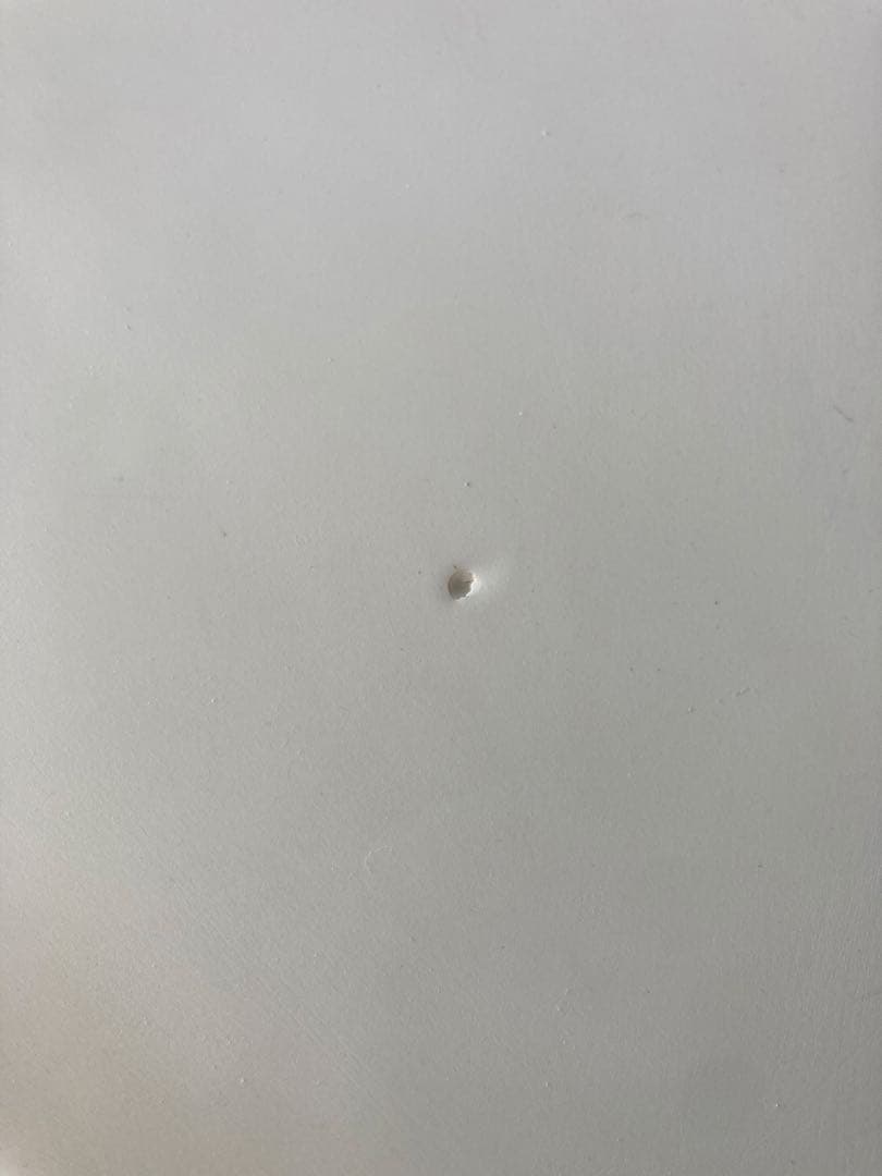 【送料込み】Santa Cruz Pumpkin 5'6\"ラウンドスカッシュ