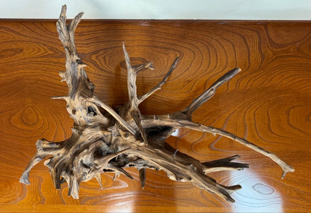 とても美しい流木　特大　水槽　インテリア　美術品　アクアリウム　中庭　玄関