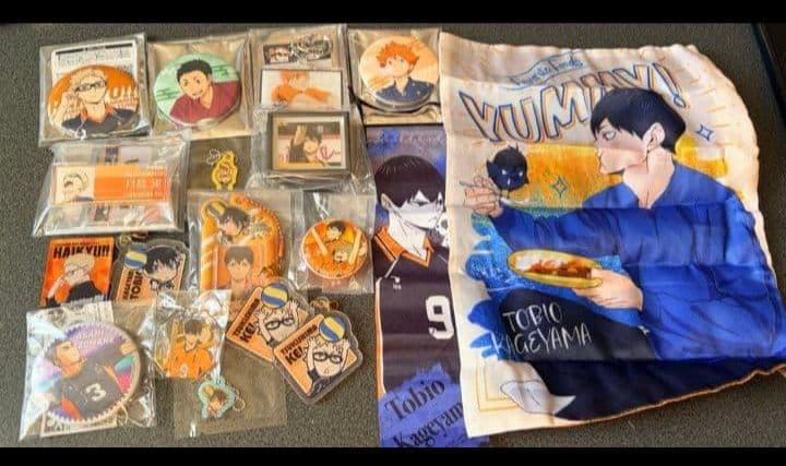 ハイキュー 烏野 影山 日向 月島 西谷 菅原 ステッカー ファイル 缶バ 特典