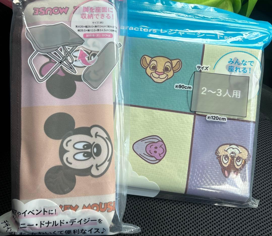 Disney Characters 折りたたみチェアイス　レジャーシートセット