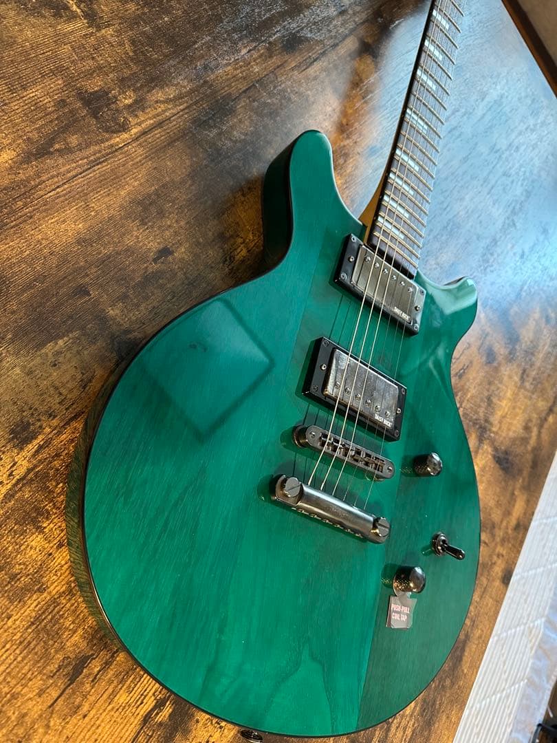 Daisy Rock エレキギター　ソフトケース付