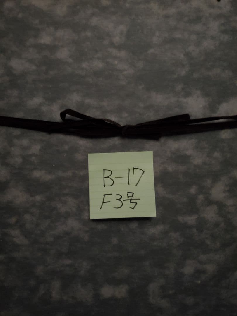 小泊芳彦作 油彩画 女性の肖像　F3号　B-17