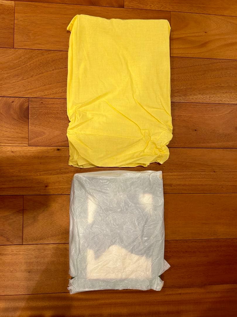 麻生知子さん　　猫ドア　　2023年