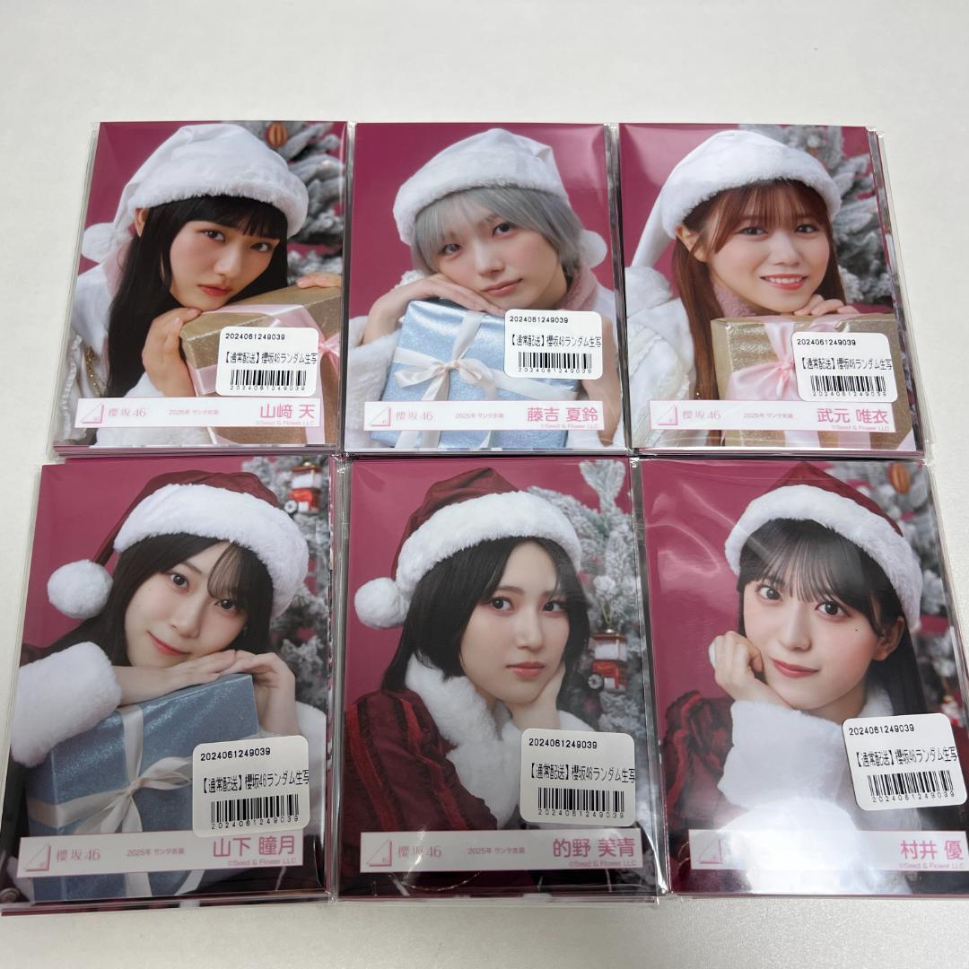 櫻坂 生写真 251枚 まとめ売り