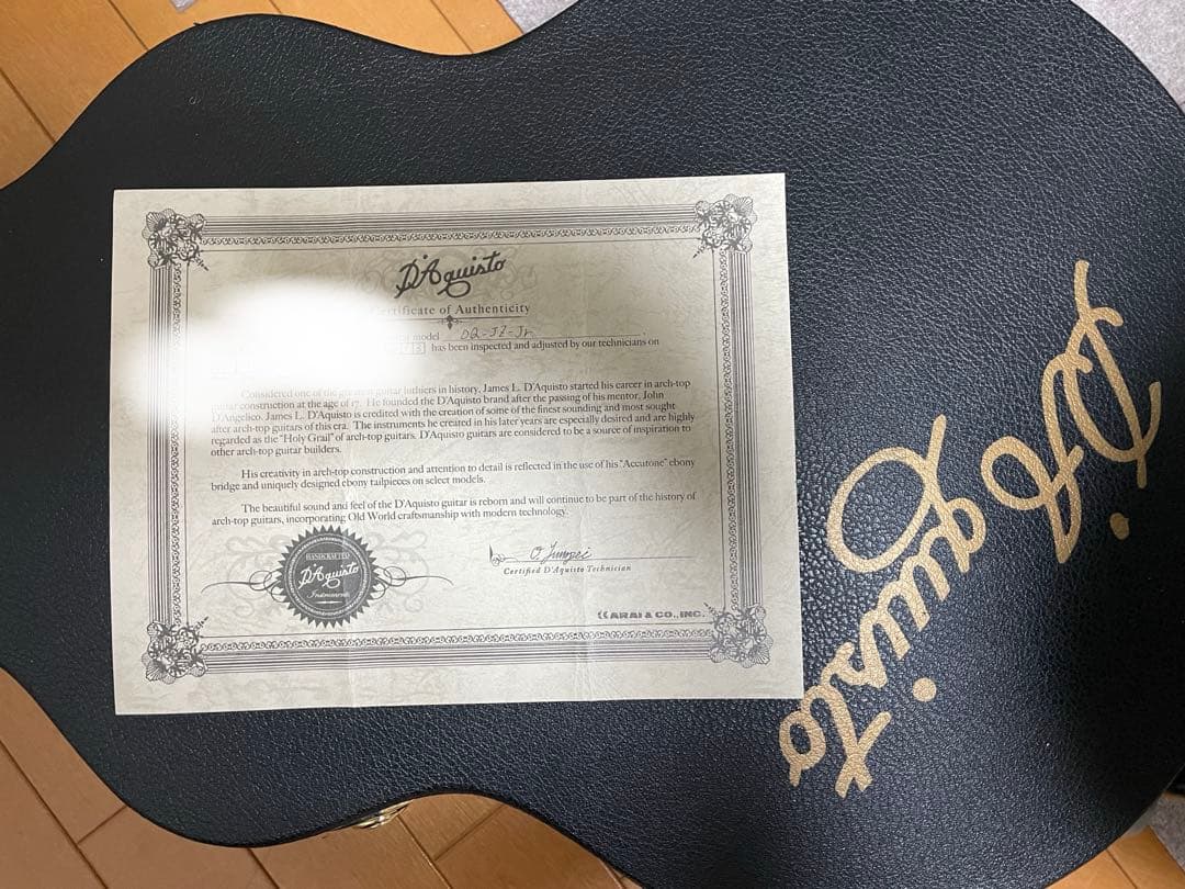 【国産フルアコ】D'Aquisto DQ-JZ-JR Jazz Line