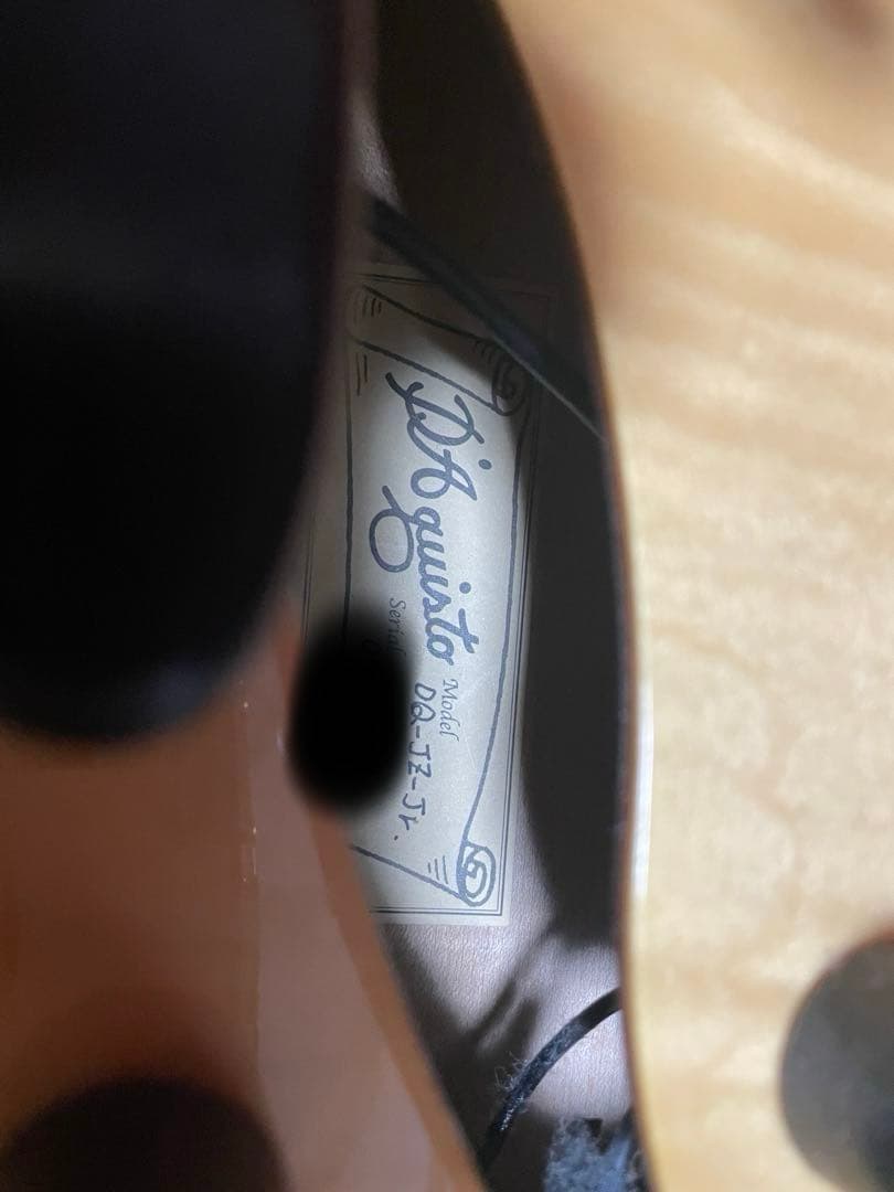 【国産フルアコ】D'Aquisto DQ-JZ-JR Jazz Line