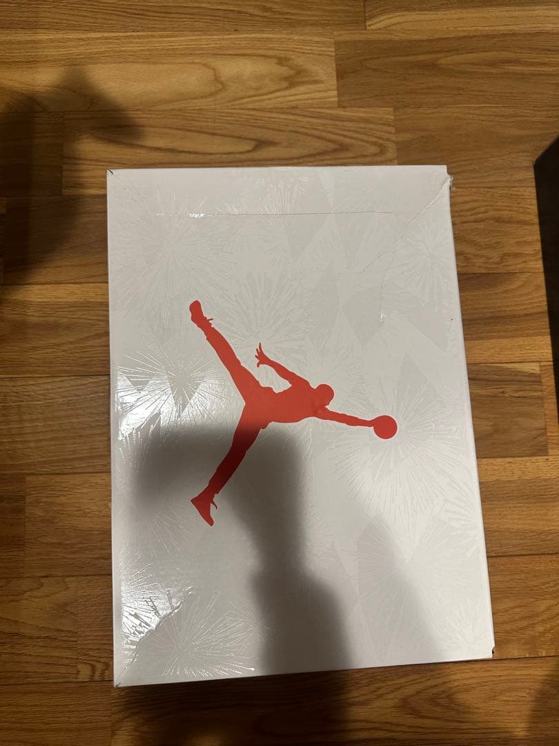 ★美品　Nike Air Jordan 6 26.5