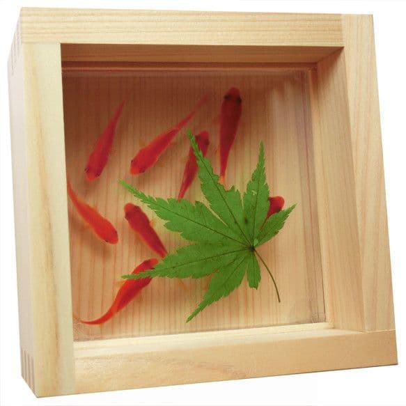 金魚アート 咲 紅葉 もみじ 置物 インテリア プリザーブドフラワー グリーン