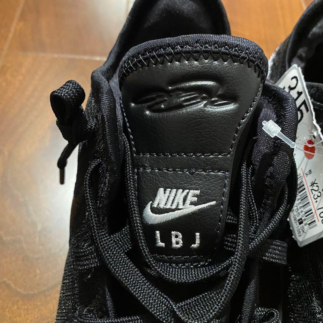 新品未使用　NIKE ZOOM LEBRON NXXT Gen EP