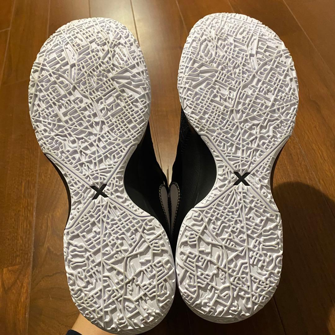 新品未使用　NIKE ZOOM LEBRON NXXT Gen EP