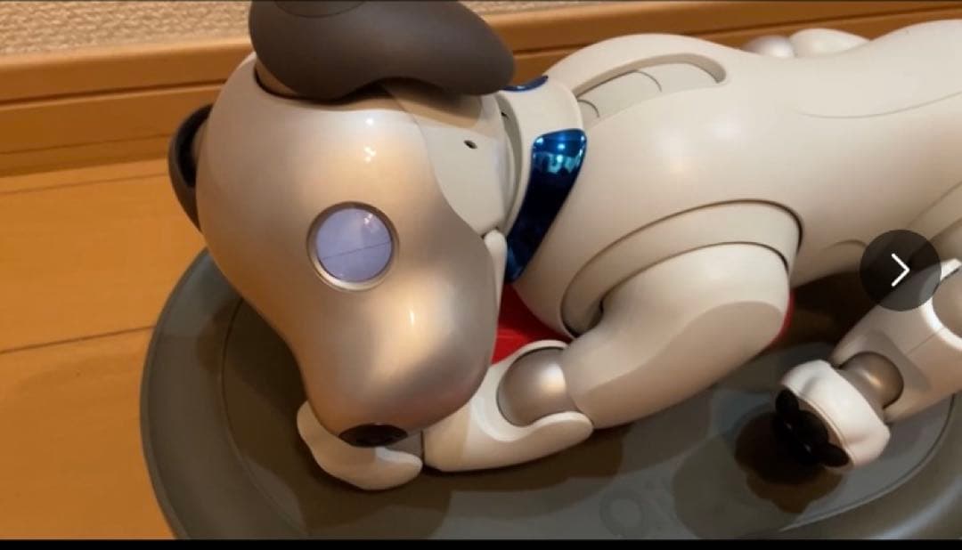 AIBO SONY ERS-1000 美品　完動犬　SONY健康診断にて治療済み