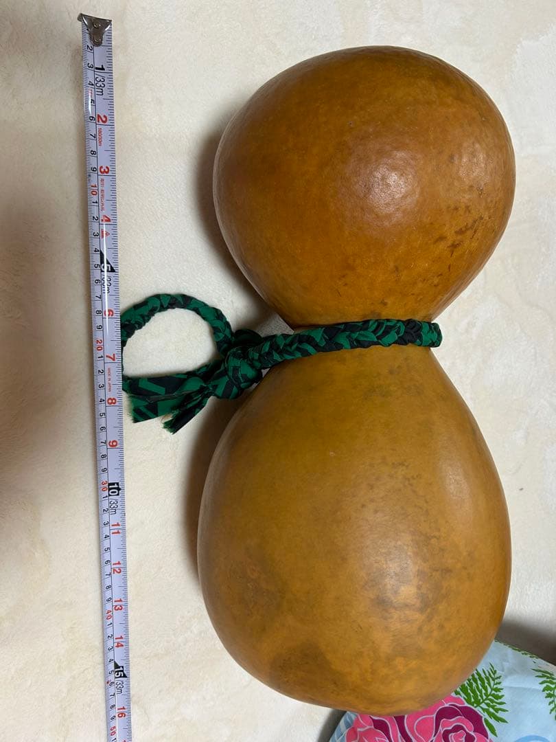 イプヘケ、プイリ(ケース)付き♪