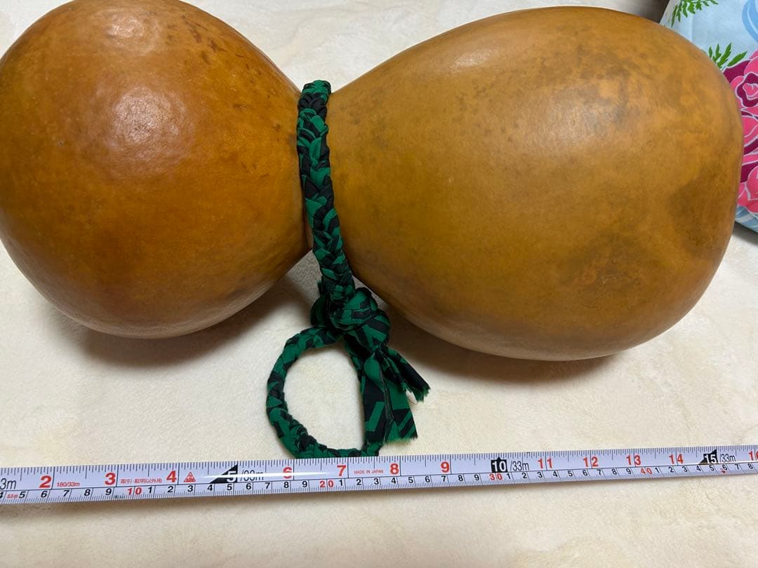 イプヘケ、プイリ(ケース)付き♪