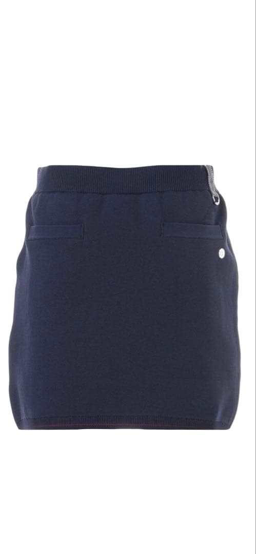 （新品）BRIEFING ブリーフィング　スカート