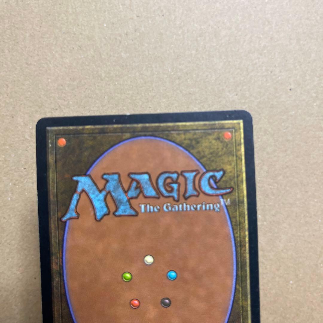 マジックザギャザリング　大地の知識(日本語) ２枚セット