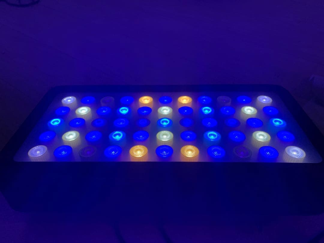 水槽　ライト　サンゴ飼育　ブラックボックス