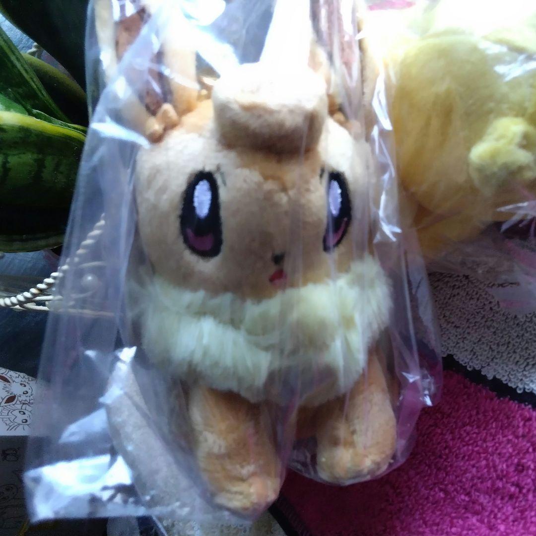 ピカチュウ　イーブイ　ピカブイ✨　マスコット　カール　女の子