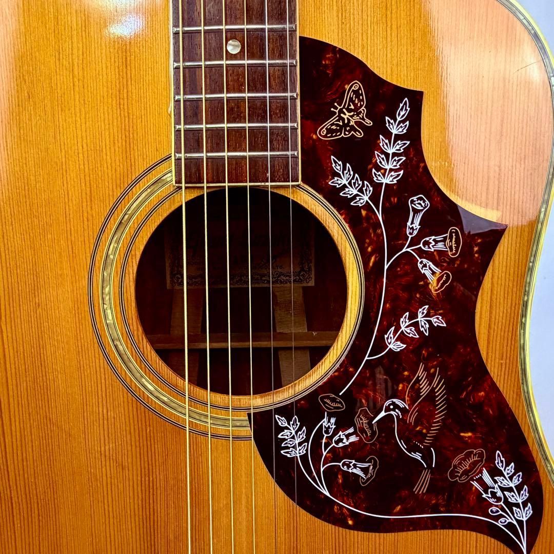 Grand Suzuki ドレッドノート MD201 JAPAN vintage