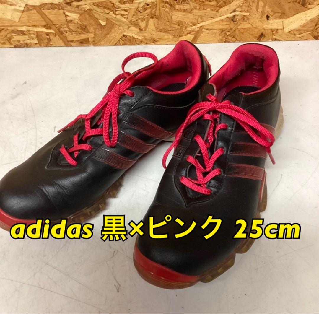 adidasゴルフシューズ25cm メンズ 汚れ有り スポーツ用（む99）