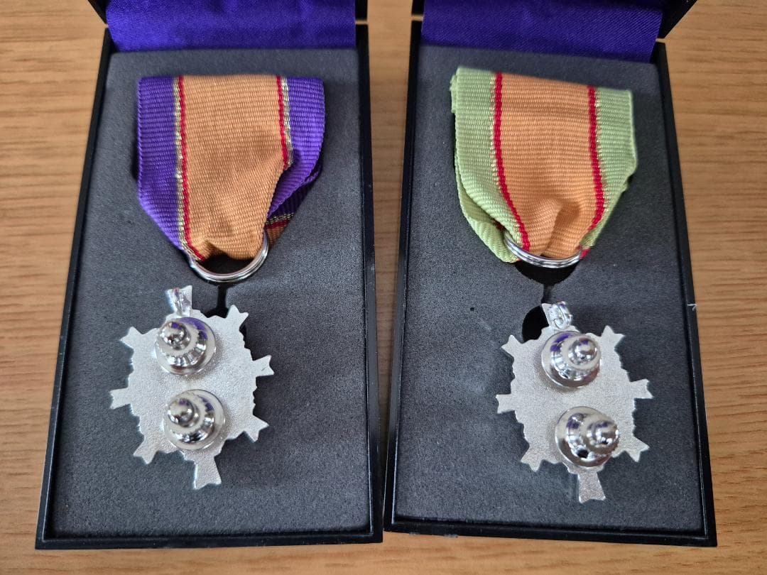 第5級防衛功労章