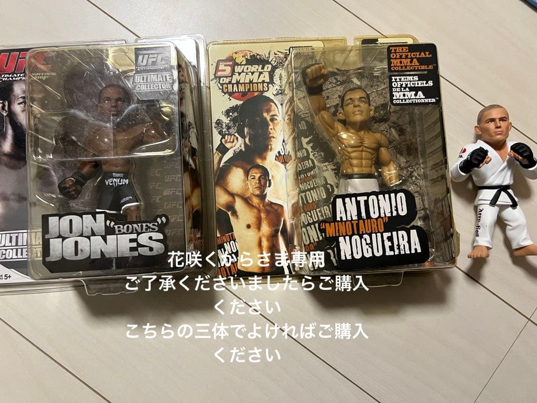 フィギュア　専用です