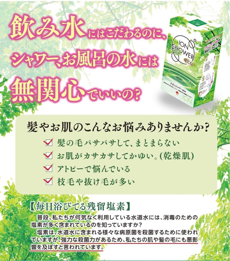 【新品】イオンシャワーecoシャワーヘッド塩素除去節水防カビ抗菌エイジングケア