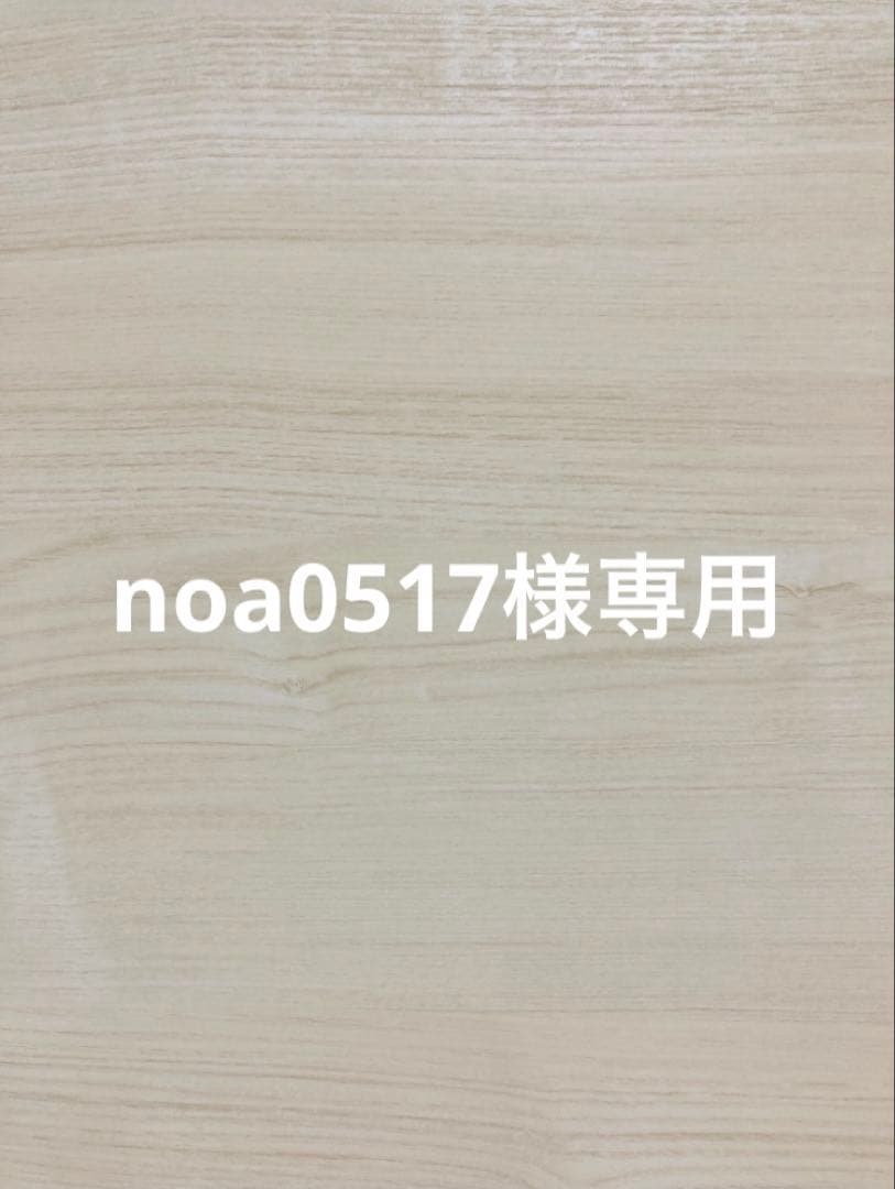 その他 noa0517