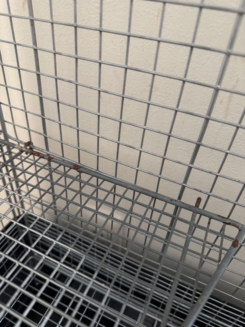 三晃商会　イージーホーム 60 ハイメッシュ　ブラック　２段重ね