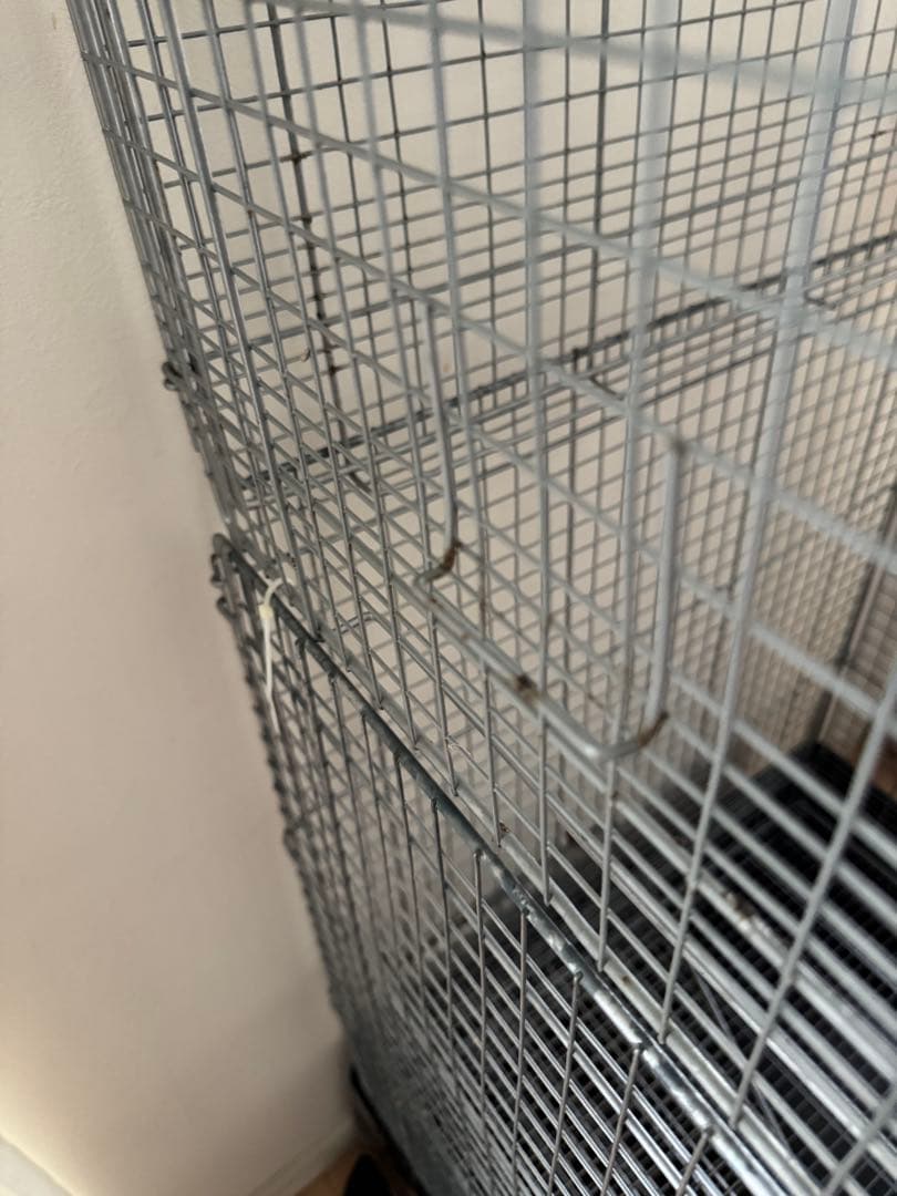 三晃商会　イージーホーム 60 ハイメッシュ　ブラック　２段重ね