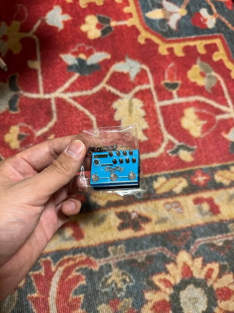 ギター Strymon BigSky reverb