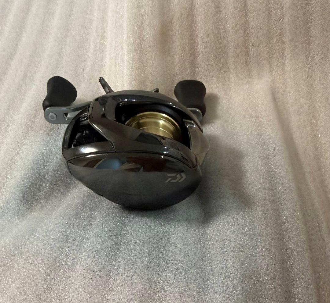 ダイワ 26スティーズ SV LIGHT TW 100H