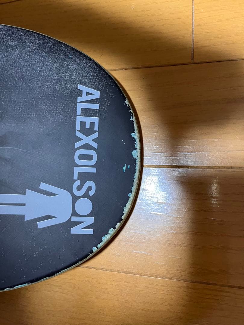 girl skateboard deck 野村訓市　cat power