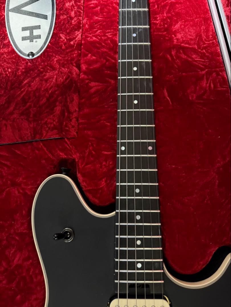 MRT　EVH Wolfgang USA SB