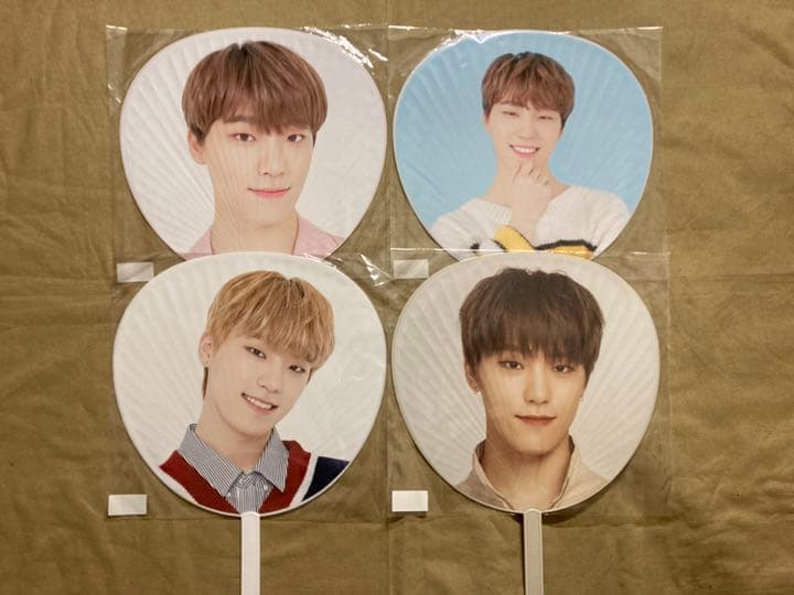 SEVENTEEN ディノ セット