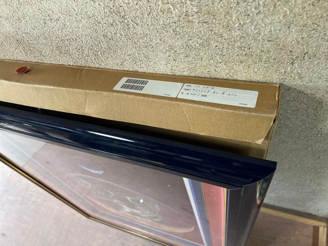 シム・シメール ウィッシング・オン・ザ・ムーン　アクリル画 証明書付