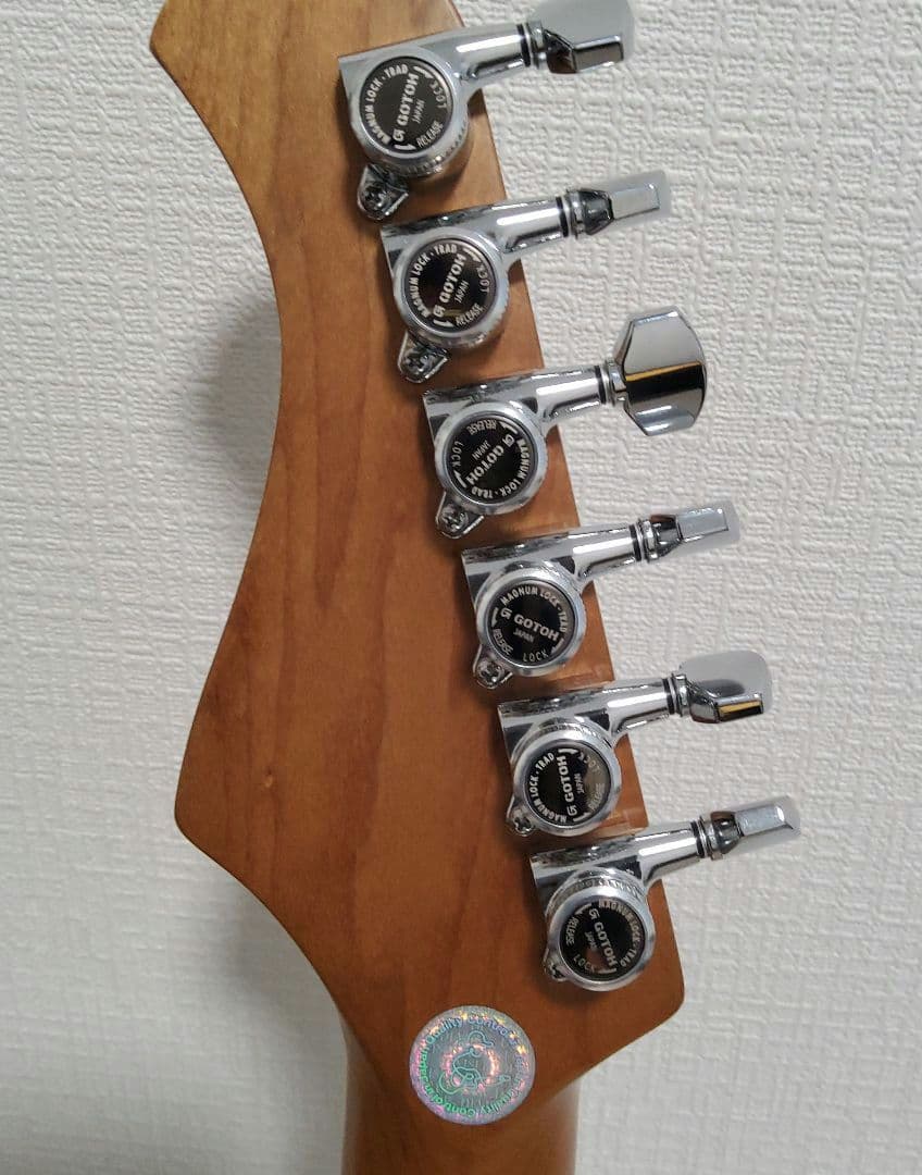 BACCHUS BST-2 RSM/R OWH ロックペグ他 美品 お得