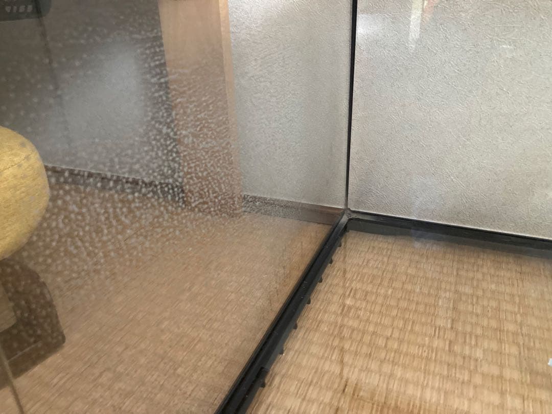 10/10㈮まで！エキゾテラ GEX EXOTERRA グラステラリウム4530